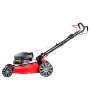 Газонокосилка бензиновая самоходная с двигателем FUBAG Honda FPL 56 SMH в Чите фото