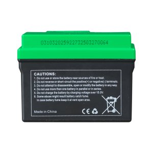 Аккумулятор FUBAG li-ion 3Ah для инверторного генератора TI 11000 A ES (арт. 646211) купить в Чите